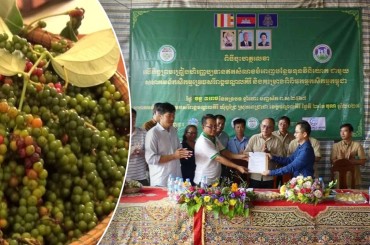 កិច្ចព្រមព្រៀងផ្ដល់ហិរញ្ញប្បទានឥតសំ ណងបំពេញបន្ថែមទុនវិនិយោគជាមួយសហគមន៍កសិកម្មម្រេចសរីរាង្គមណ្ឌលគិរី