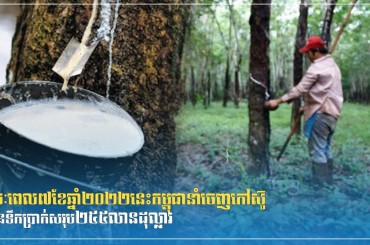 រយៈពេល៧ខែឆ្នាំ២០២២នេះកម្ពុជានាំចេញកៅស៊ូមានទឹកប្រាក់សរុប២៥៥លានដុល្លារ